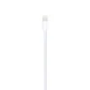 Câble Apple USB Vers Lightning 2m -Spigen Zubehor Geschaft cable apple usb vers lightning 2m
